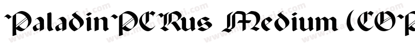 PaladinPCRus Medium (COPY 1)字体转换